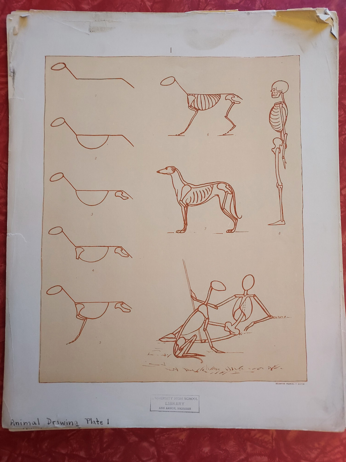 Picture 3 of 12