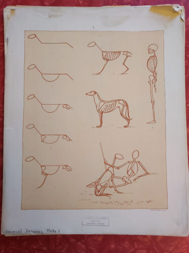 Animal Drawings: A Series of Thirteen Plates by Caroline Hunt Rimmer 1895 1st Ed - Picture 3 of 12