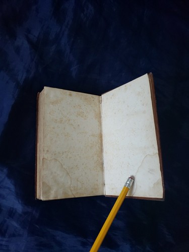 1832 The Life And Times Of King George IV By George Croly Antique Leather Decor  - Picture 11 of 11