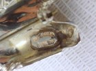 Bild 4 von 12