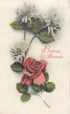 CP GOOD YEAR EDELWEISS ROSE FLOWER - 64606