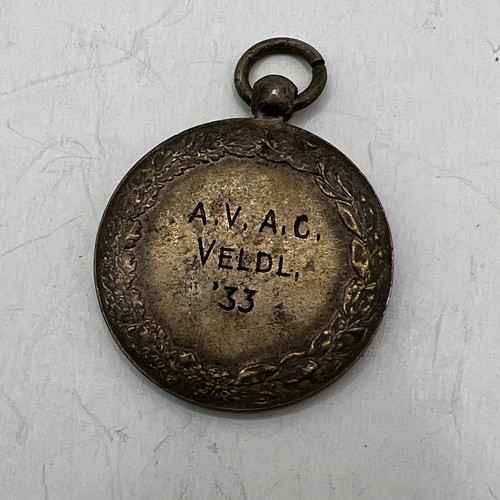 1933 Medal - Netherlands or Germany