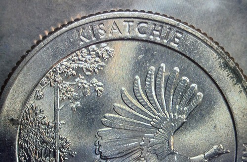 2015 D washington quater Lousiana . Kisatchie with die errors. High grade coin. - Picture 4 of 5