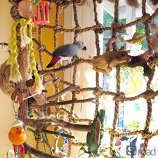 40x40cm Parrot Climbing Net Natural Linen Bird Toy With Hooks Swing Hammock