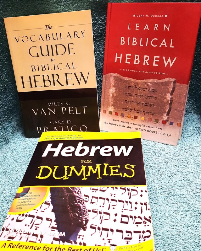 Learn Biblical Hebrew - Hebrew for Dummies & Vocabulary Guide 3 books HC & PB