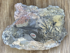 Picture 2 of 9