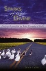 Sparks of the Divine by Drew Leder (Paperback, 2004)