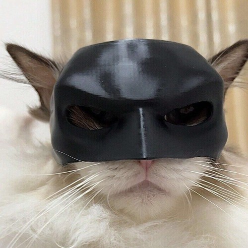 Katze Cosplay Batman Fledermaus Avenger Maske Cool Cat Bat Maske Halbgesicht Helm Requisite - Bild 7 von 7