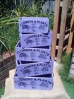 Fab lilac painted wooden Flowers & Plants storage box. Ideal Mother's Day gift  