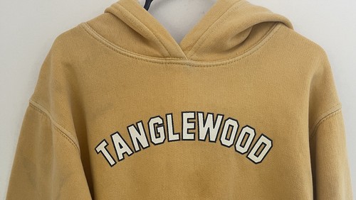 Comfort Colors Unisex Kid Tanglewood Cozy Cotton Blend Pullover Hoodie Yellow XS - Picture 2 of 6