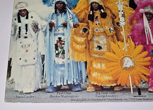 WILD TCHOUPITOULAS LP FUNK 1976 ISLAND RECORDS VINYL THE METERS BAYOU SOUL 12" - Imagen 20 de 22