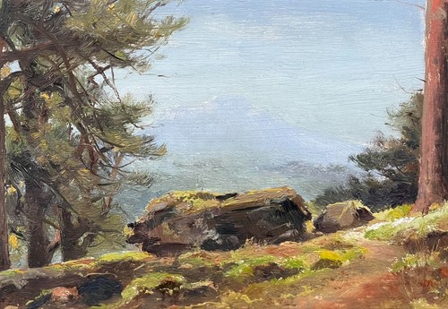 Antique Coastal Oil Paintings Italy 1905 and 1909 by James Williamson - Picture 9 of 11