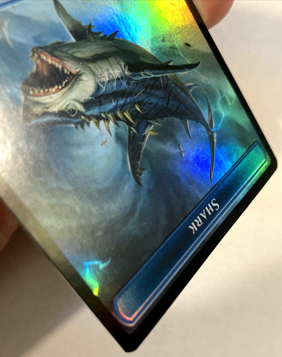 Picture 4 of 10