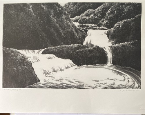 April Gornik (amerikanisch geb. 1953) Kaskadender Wasserfall, signierte Softground Radierung - Bild 2 von 10