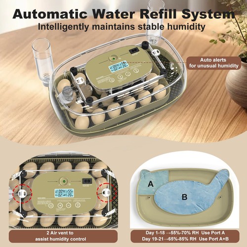 Incubators for Hatching Eggs,Smart 24 Egg Incubator with Automatic Egg Turnin... - Picture 5 of 7