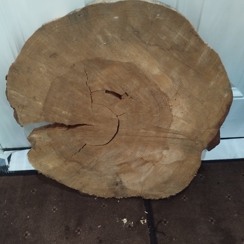 3er SET GROSSE KIEFERNHOLZSCHEIBE 50cm DURCHMESSER - Bild 2 von 10