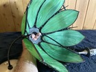 Bild 6 von 15