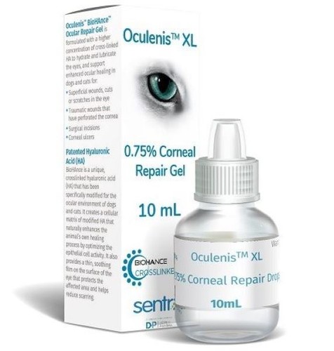 Oculenis XL BioHAnce Ocular Repair Gel, 10ml Promotes Healing of Eye Injuries