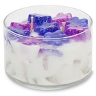 Primal Elements CBLIL Lilac 9.5 oz. Two Wick Color Bowl Candle