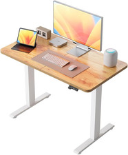 44"X24"Electric Standing Desk, Stand up Height Adjustable Home Office Table, Sit
