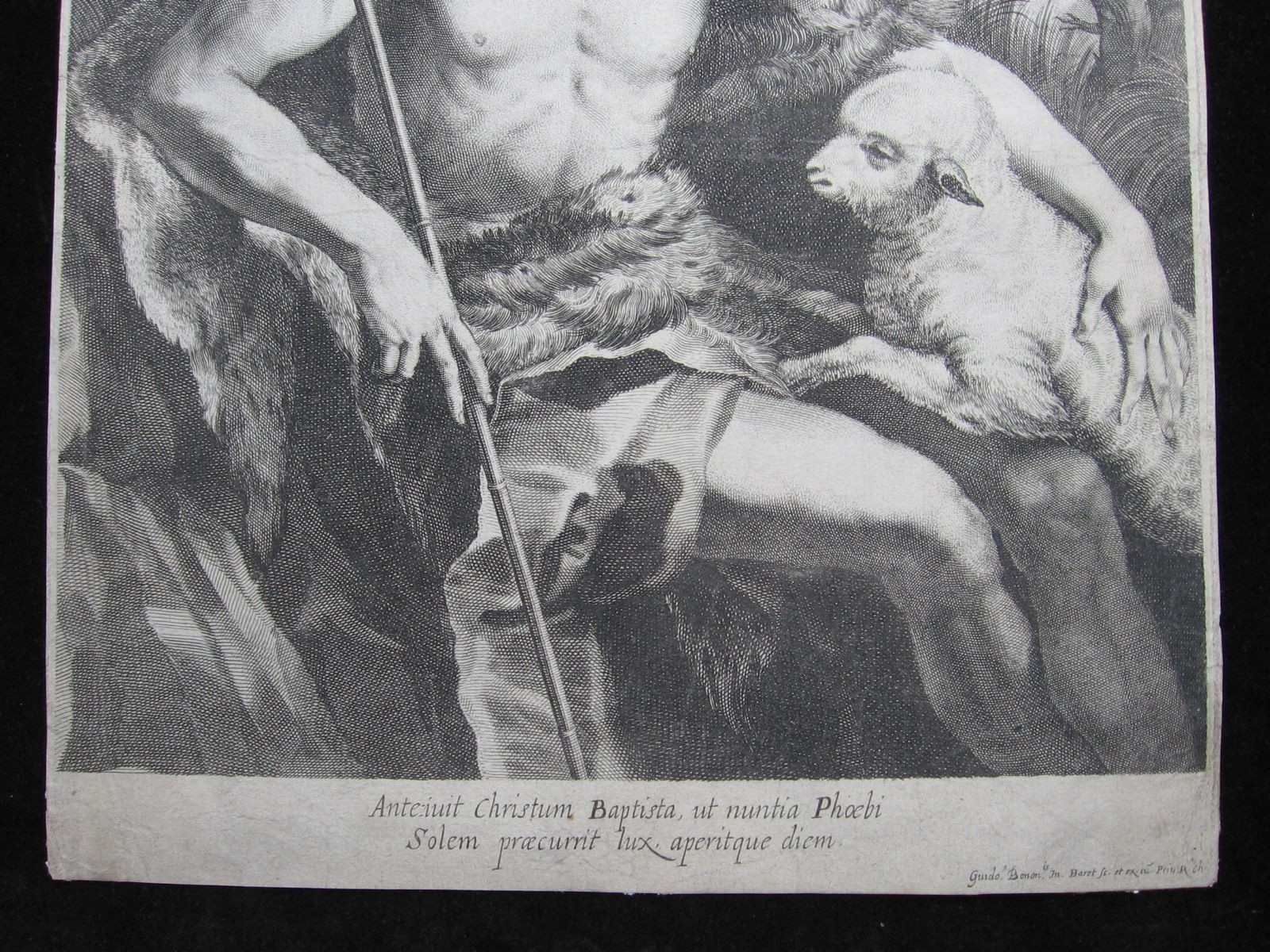 Picture 3 of 6
