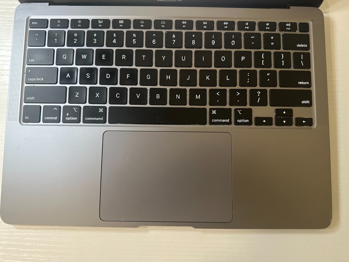 Apple MacBook Air9,1 13