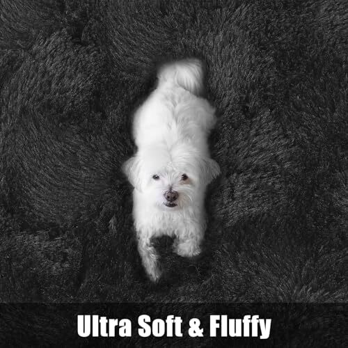 Fluffy Area Rugs for Bedroom Decor Aesthetic, 3x5 Shag Rug with 3x5 Feet Black - Picture 6 of 6