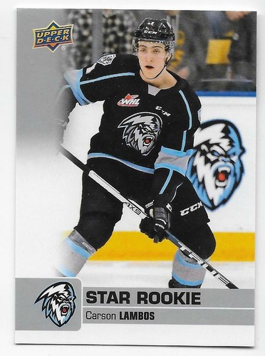 19/20 UPPER DECK CHL STAR SP/STAR ROOKIES SP Hockey (#301-400) U-Pick From List - Picture 82 of 101
