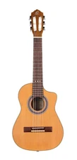 Ortega Guitars Requinto Series Pro 6 String AcousticGuitar, Right (RQ39E)