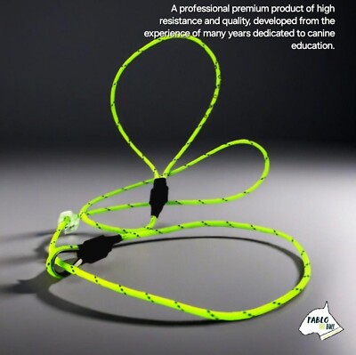 Gundog Loop Lead Slip Leash Dog Grot Collar K9 Prong No Pull Heel