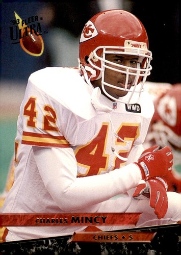 S1R9: 1993 Fleer Ultra Football - H of F and Rookies. 1-250. - Picture 369 of 452