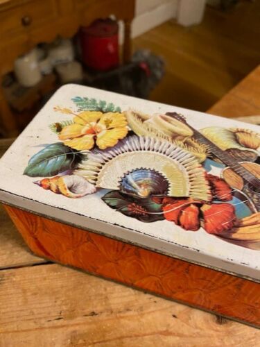 Vintage Long Rectangular Crackers / Biscuits Tin – Mexican Theme – Flowers etc - Picture 7 of 7