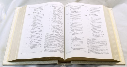 Holy Bible Catholic Fireside Edition New American Bible NAB 1979 Red Letter - Picture 10 of 11