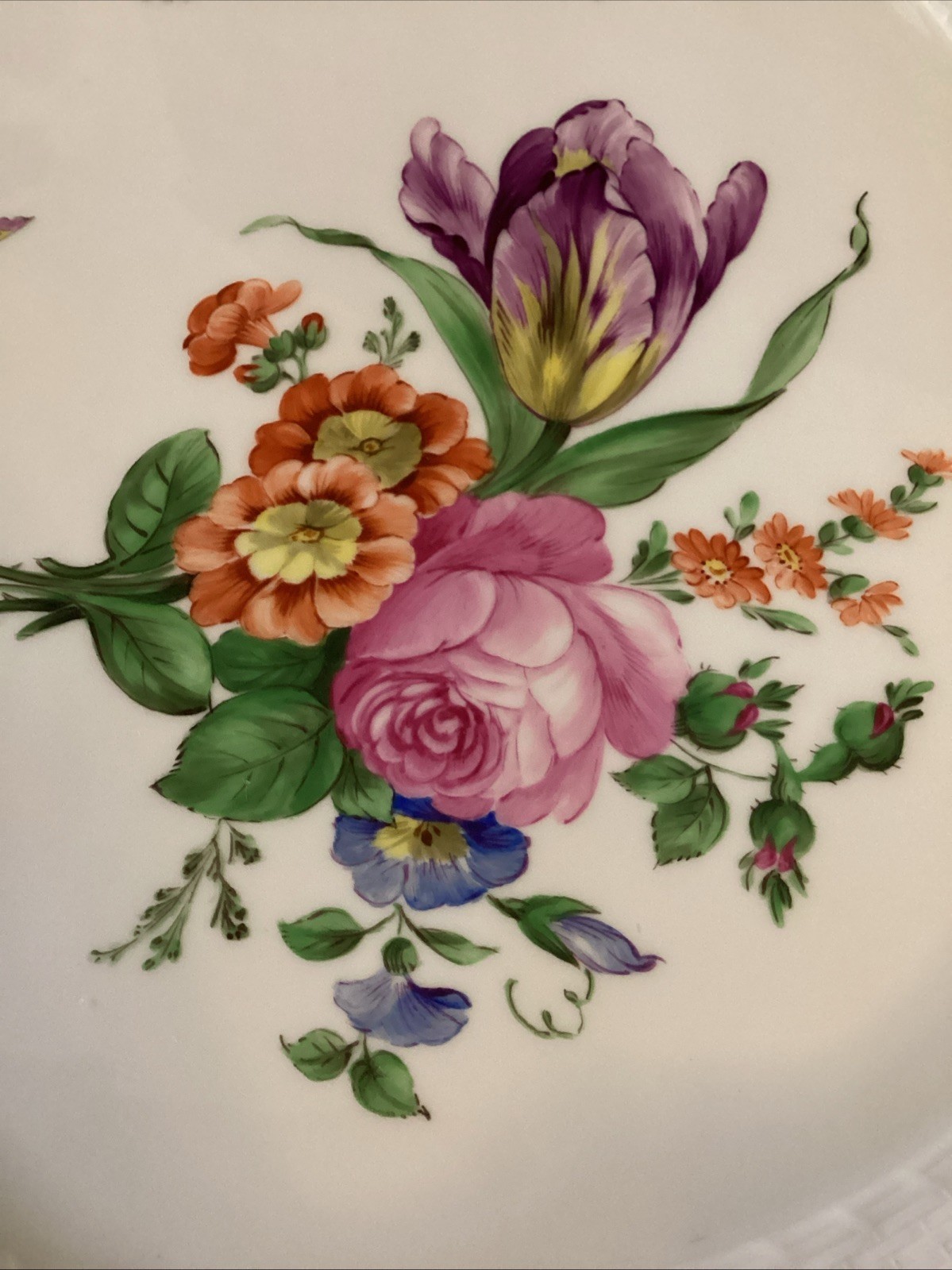 Picture 5 of 14