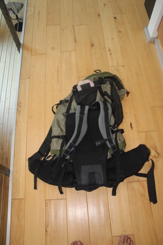 Mochila DANA DESIGN DE COLECCIÓN VERDE REDIRECT MEDIANA USADA - Imagen 4 de 8