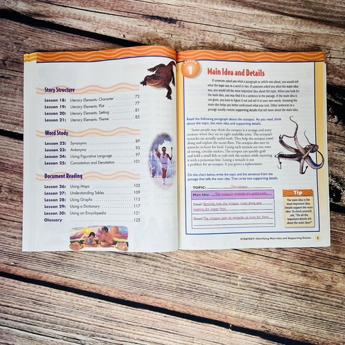 Comprehension Plus - Teacher's Guide- Level D. Soft Cover Book - Picture 11 of 20