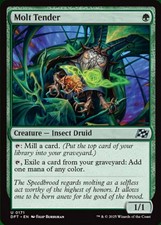 x4 Molt Tender U MTG Aetherdrift M/NM, English