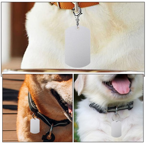 12 piezas etiquetas de aluminio etiquetas de identificación de perros en blanco para grabar - Imagen 9 de 12