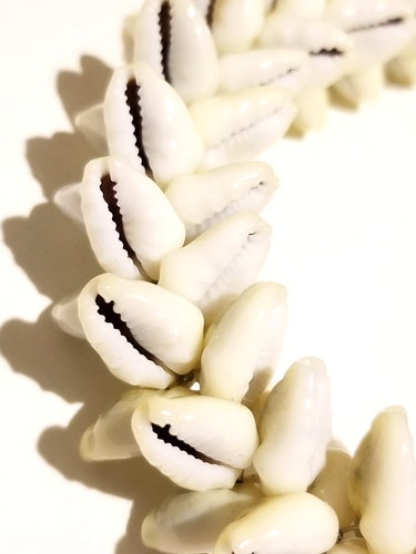 *Vintage einzigartige kühne klobige lange Kaurimuschel Halskette** - Bild 4 von 7