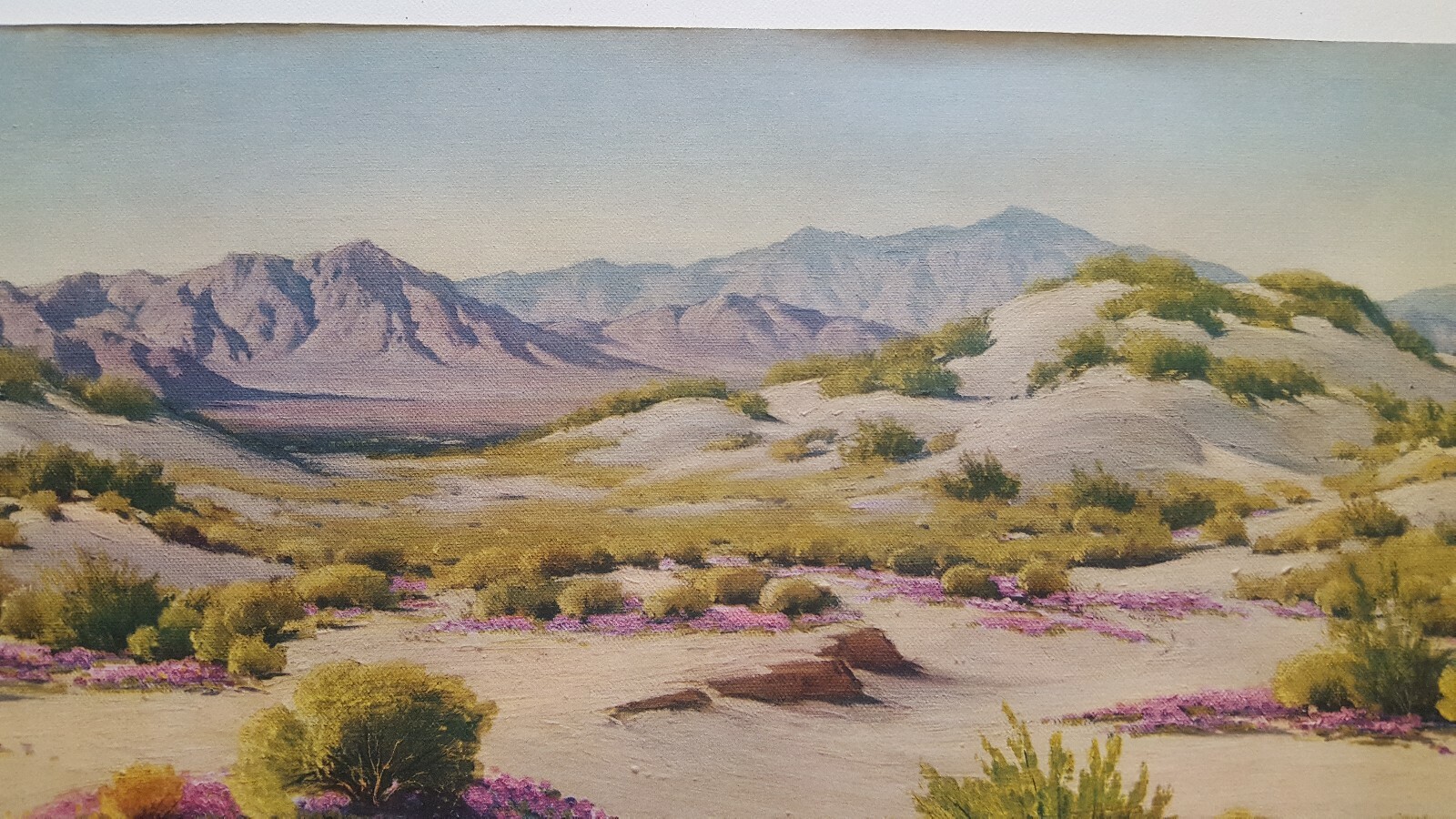 Picture 5 of 8