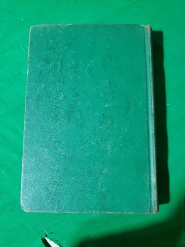 The Bobbsey Twins Or Merry Days Indoors And Out - Bild 3 von 7