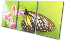 Butterfly Nature Floral Insect Animals TREBLE CANVAS WALL ART Picture Print
