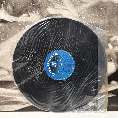 THE ANIMALS - SAME - OMONIMO LP EX-/EX+ 1965 ITALY 2nd PRESS COLUMBIA 33QPX8076 - Imagen 4 de 5