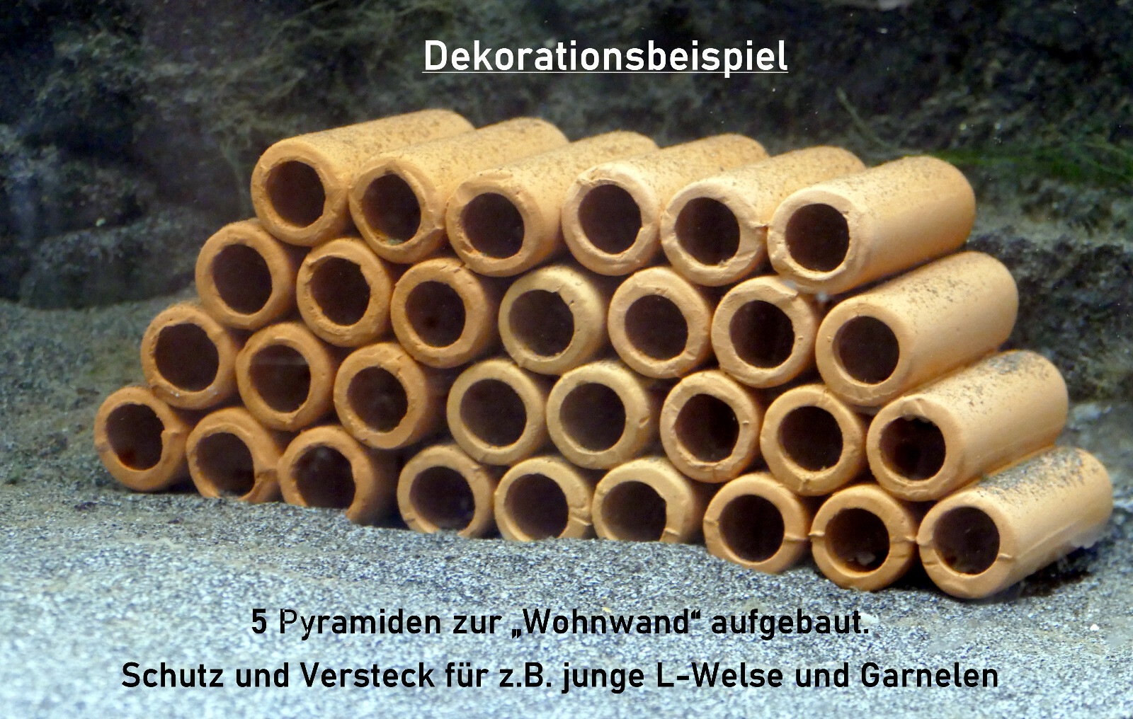 Bild 18 von 18