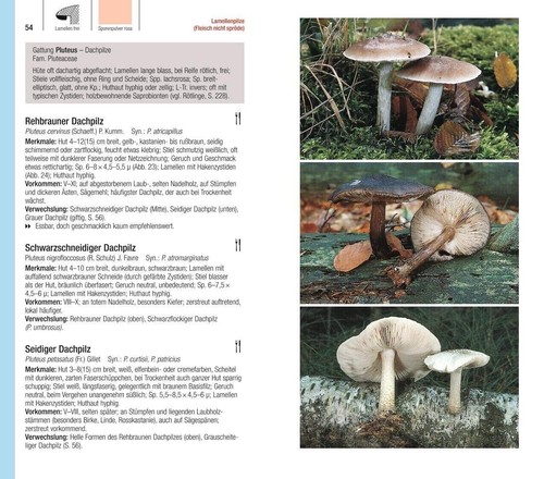 DER GROSSE BLV PILZFÜHRER | EWALD GERHARDT | Pilze - 1200 Arten - 1000 Fotos - Bild 5 von 9