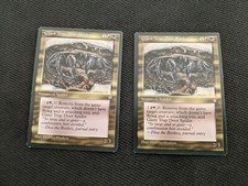 2 Giant Trap Door Spider Card 1995 Ice Age Magic the Gathering Un Played Fresh