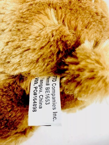 FTD Orsacchiotto Marrone con Fiocco Rosso Regalo Peluche da Collezione - Foto 4 di 6