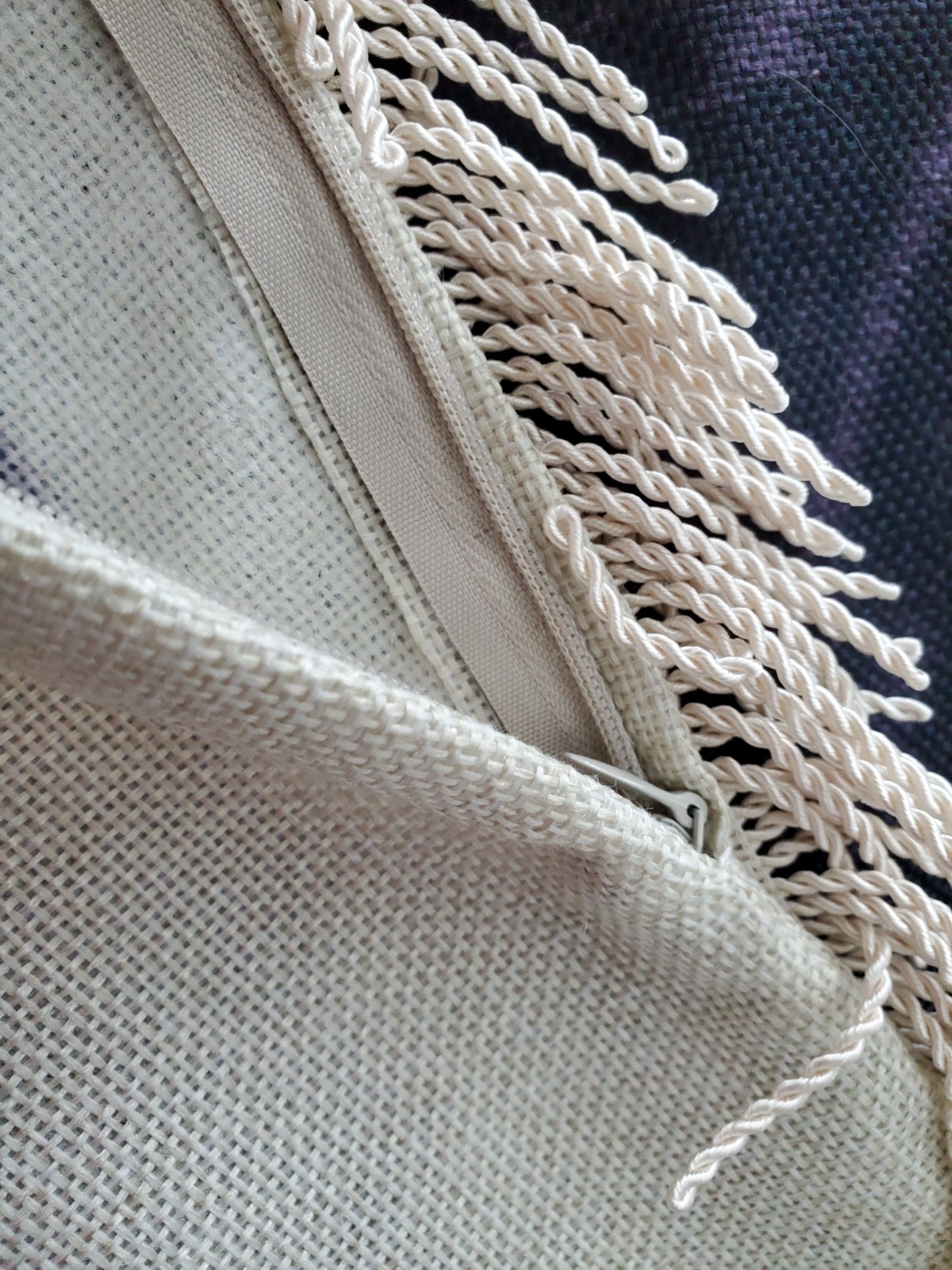Picture 5 of 5