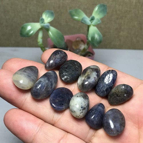 11pcs Natural Cordierite stone Crystal gemstone Polish Specimen 40g A8664
