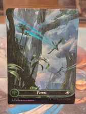 L 0266 Forest FOIL BORDERLESS Full Art Land Edge of Eternities EOE MTG Card